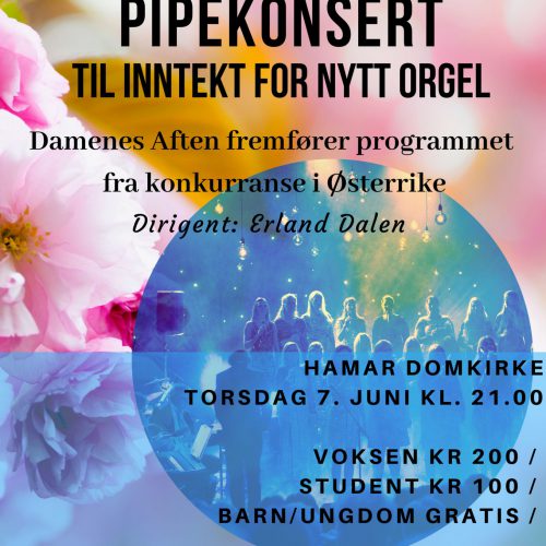 Pipekonsert – til inntekt for nytt orgel!
